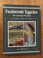 Faszinierende Taggeckos - Die Gattung Phelsuma