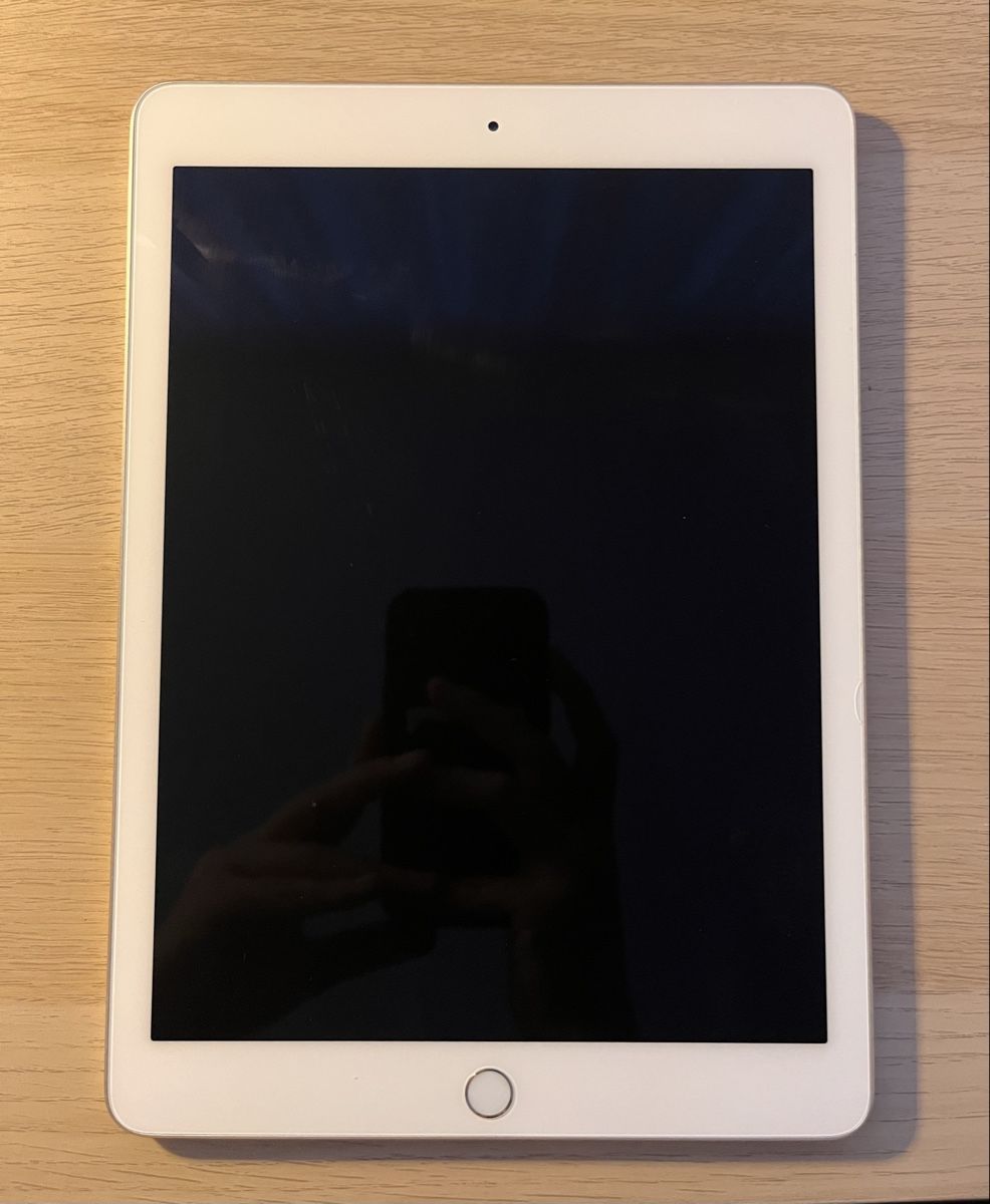 Apple Tablet PC: iPad Pro (9'7 Zoll) – Usato da Schlieren venduto da sur_9fy7