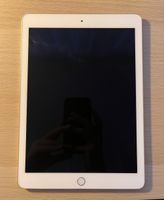 iPad Pro (9'7 Zoll)