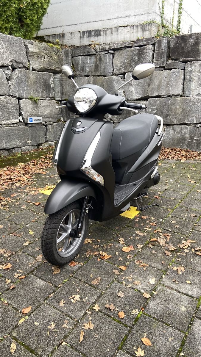 Yamaha Strada: Yamaha D'Elight – Usato da Horw venduto da sungmalibu 3