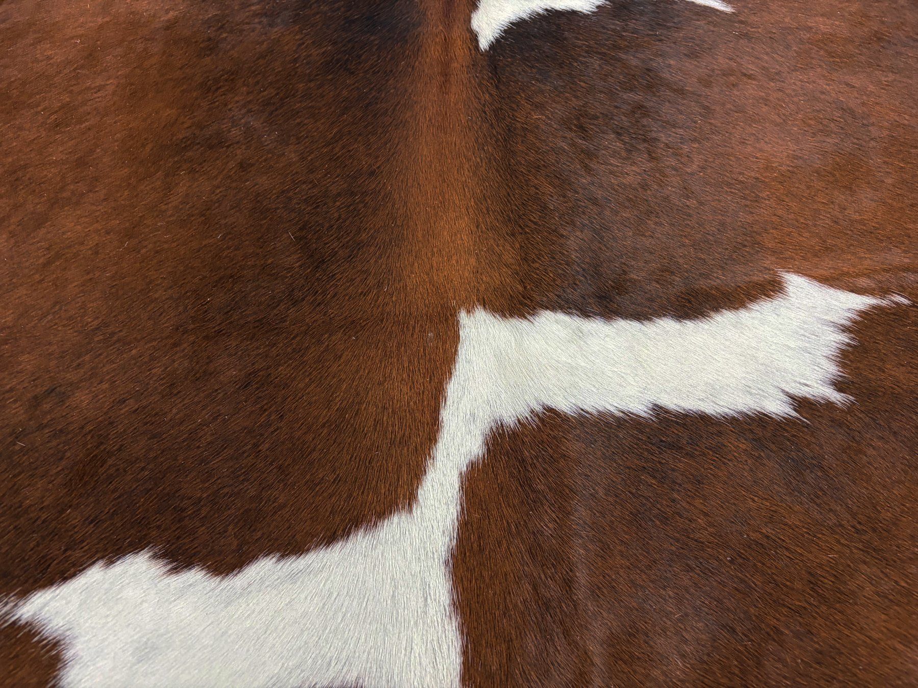 Tappeti: echtes Kuhfell Teppich exotic tricolor – Nuovo e nell'imballaggio originale da Arbedo venduto da patagonialeatherrugs 3