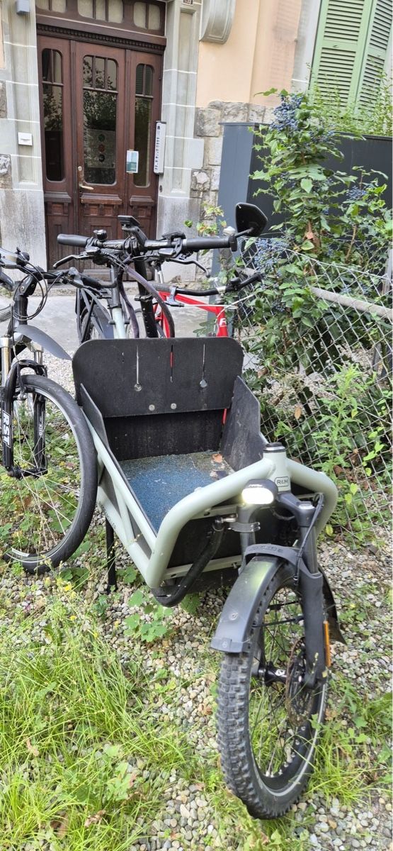 Riese & Müller Biciclette: Velo cargo riese and muller load 60 – Usato da Lausanne venduto da TelmaLouise70 2