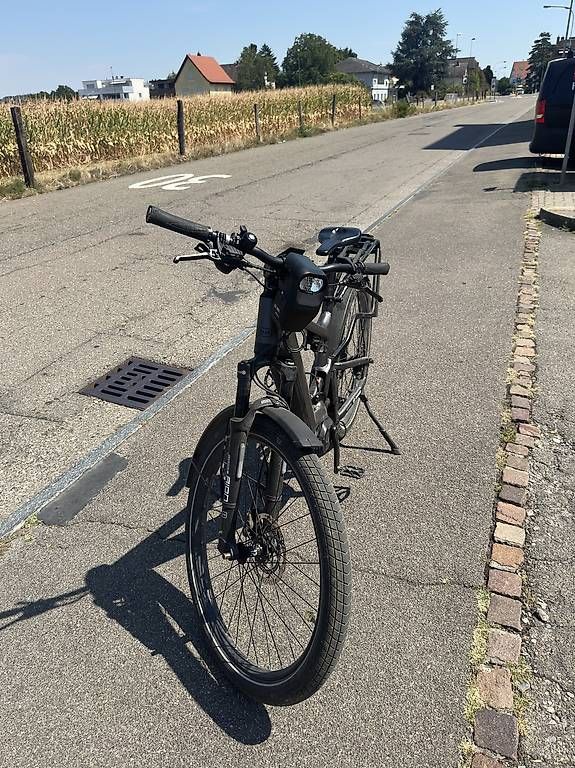 Biciclette: Riese & Müller E-Bike  Bosch Performance Line CX  – Usato da Dällikon venduto da efe_m8dm 3