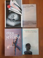 4 Romane: Damon Galgut, Eva Munz, Henning Mankell, Shahami