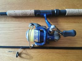 Shimano Nexave inkl DAM fighter spin 195