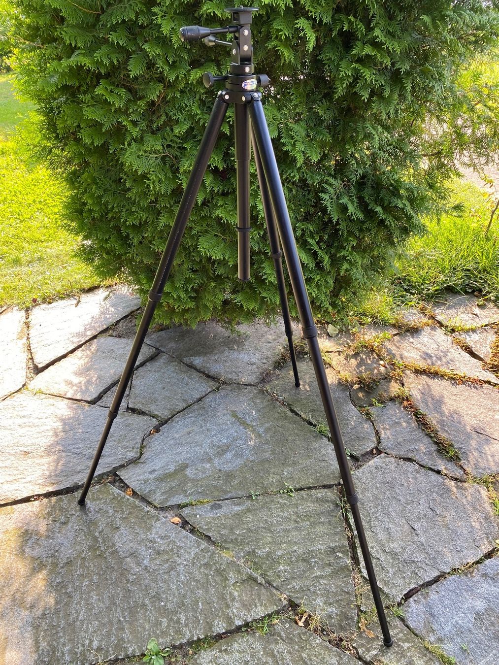 Leitz Fotocamera: E. Leitz Tiltall Tripod 4602 Stativ – Usato da Feldbach venduto da Fea1 7