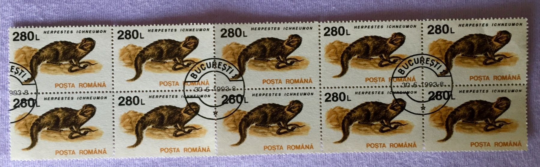 Tutti i francobolli: BRIEFMARKEN  Rumänien Ichneumon GESTEMPELT 1993 – Usato da Aarau venduto da Angi-007
