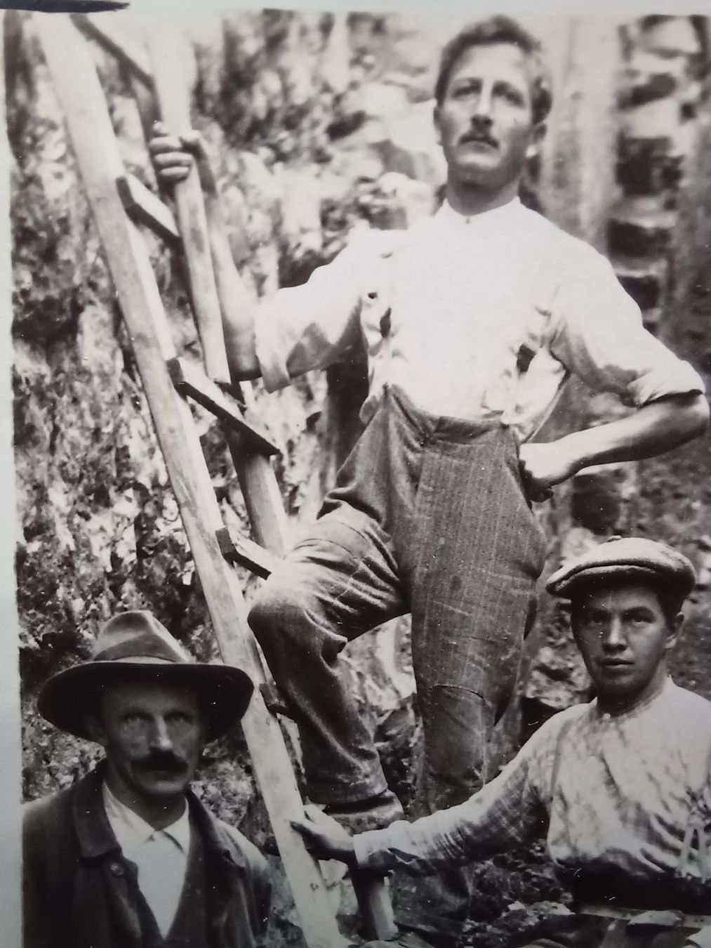Cartoline postali: Wo, Wer, Bergwerk – Usato da Aarau Rohr venduto da mgvw 1