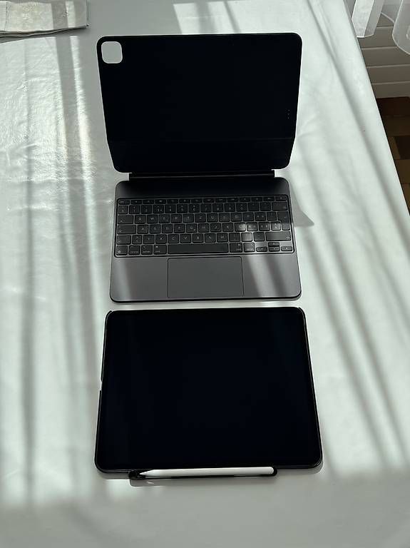 Apple Tablet PC: iPad Pro 13" M4 – Usato da Genève venduto da ale_6jvr 2