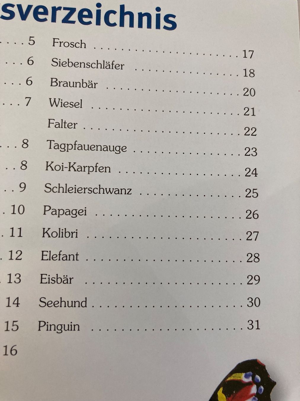 Libri: Window Color: Tiere (mit Vorlagebogen) – Usato da Frauenfeld venduto da Metharia369 1