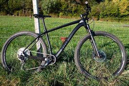 Rose Psycho Path 2, MTB, schwarz, Grösse L