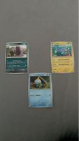 Pokémon Karten - Top Zustand!
