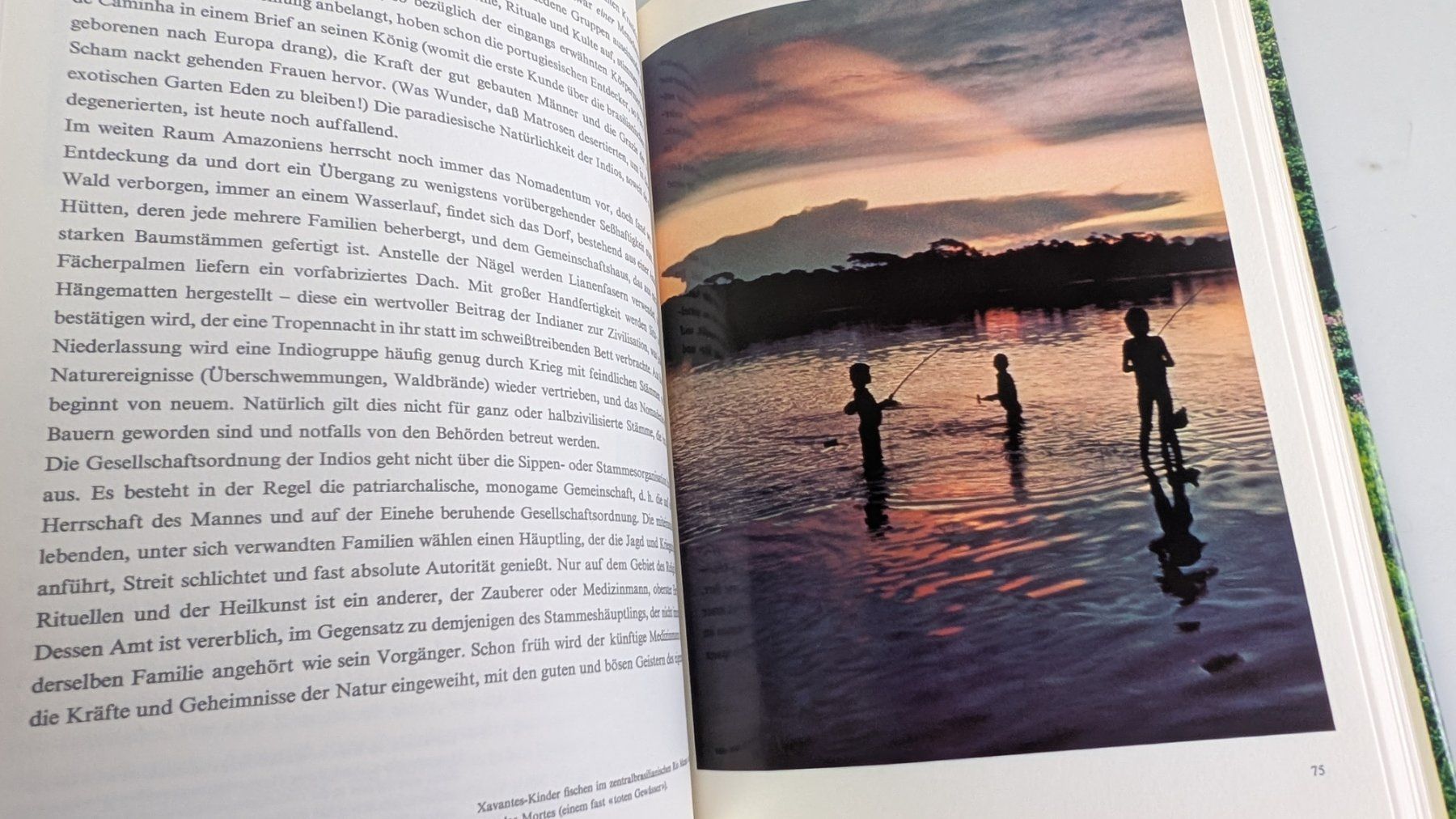 Libri: Brasilien Bildband Silva 1964 – Usato da Zürich venduto da axolottchen 7