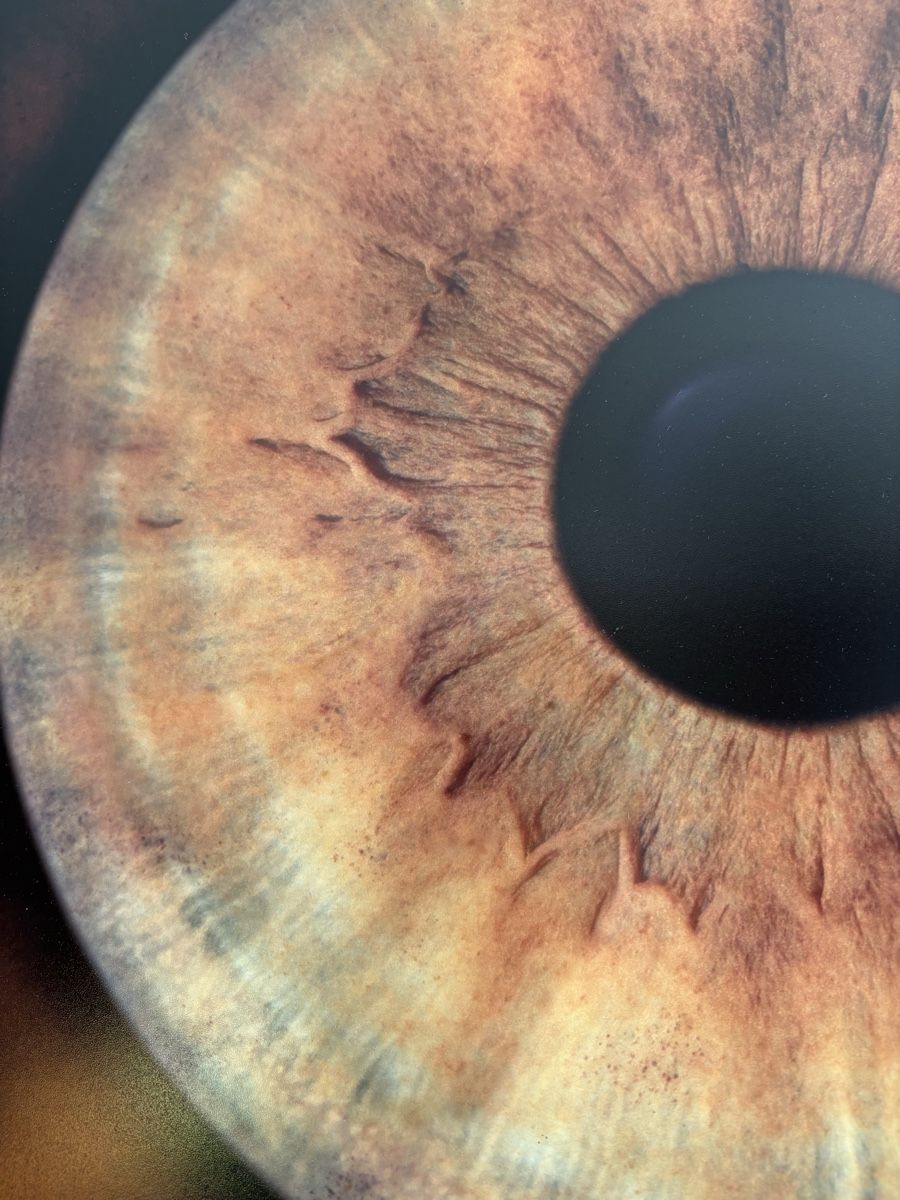 Foto & Immagini: Iris Foto Bild Aug – Usato da Dietikon venduto da YviG 1