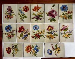 Komplette Serie Blumen aus Meißen (um 1920)