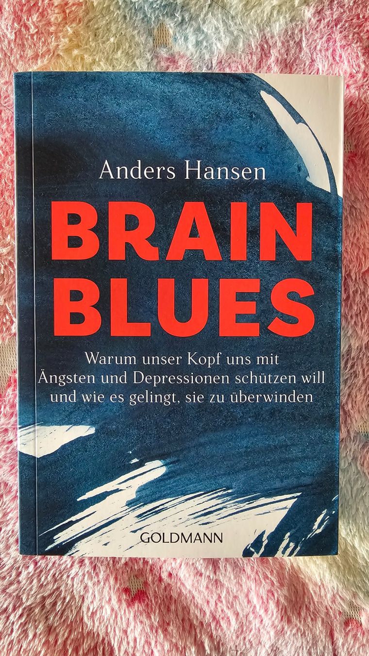 Bücher: Brain Blues - Anders Hansen Buch – Neu (gemäss Beschreibung) aus Klingnau von anduril_25