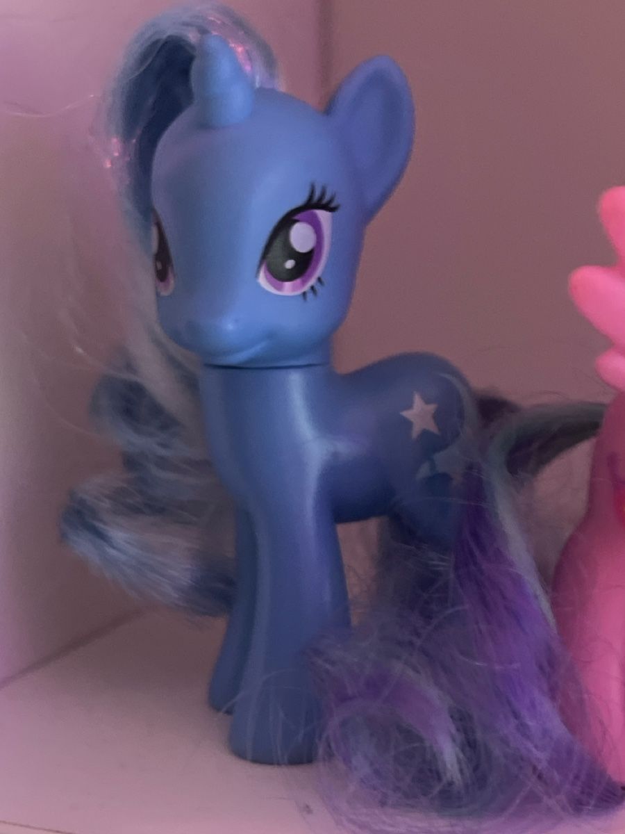 Hasbro Statuette: My little pony sammler  – Usato da Zuchwil venduto da PonyPopArt