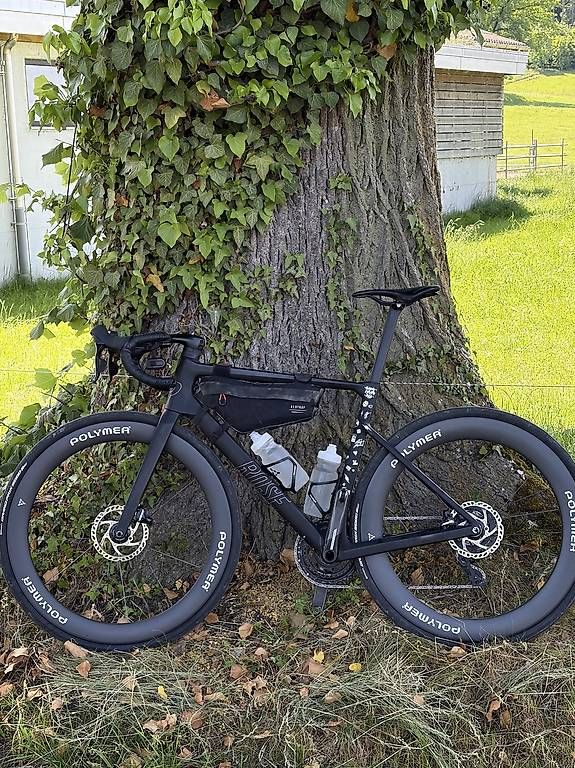 Rose Biciclette: Custom Rose Xlite 06 x Polymer – Usato da Zürich venduto da Wenk12