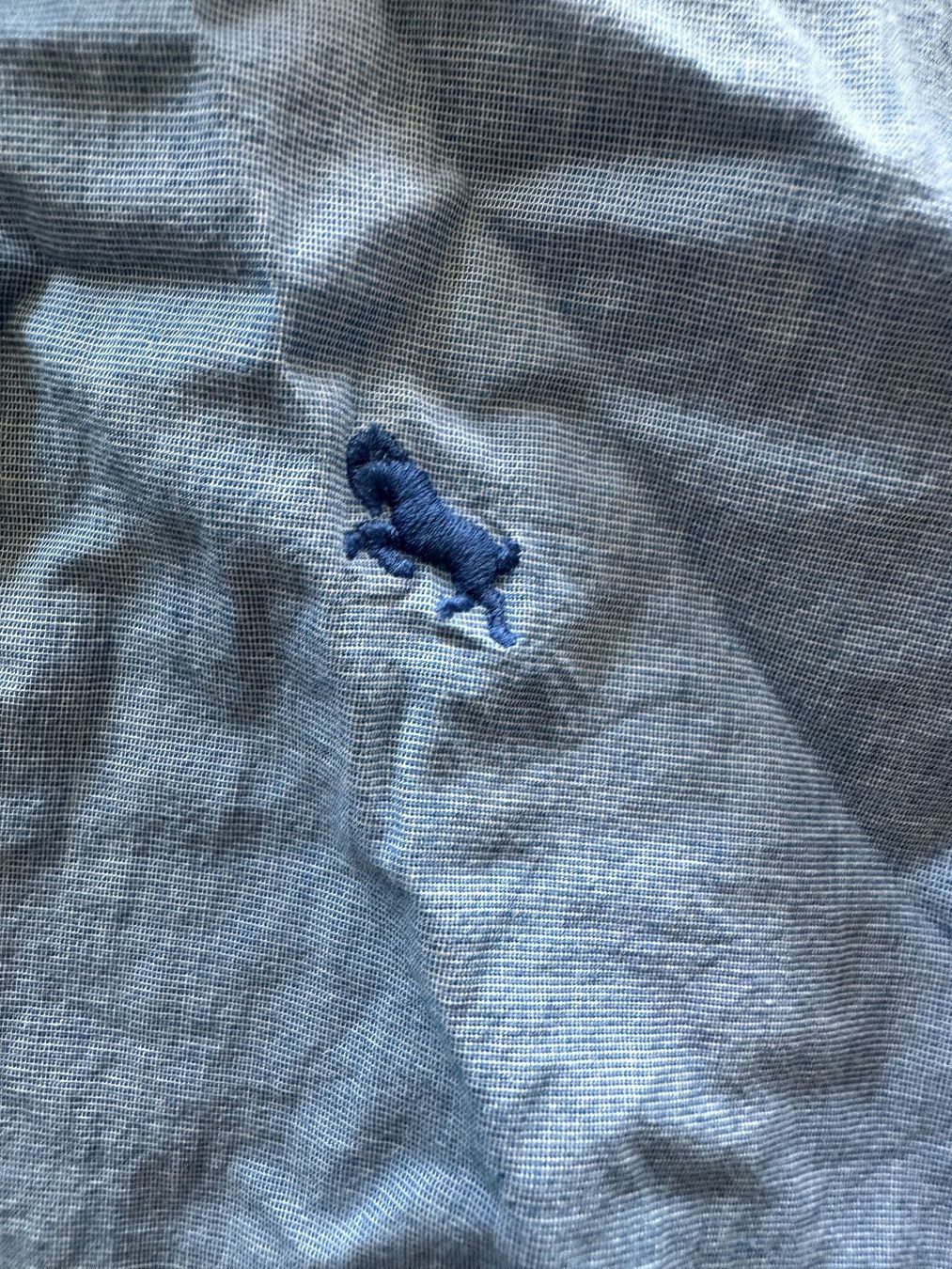H&M Camicie, T-shirt & Polo: Hemd gr 140 H&M – Usato da Schmerikon venduto da Seepfaerdchen 1