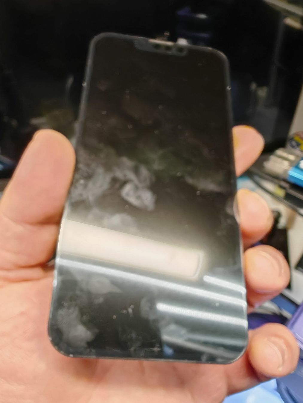 Apple Monitor: Display Modul JK 6.1" for iPhone 13 neu – Nuovo e nell'imballaggio originale da Bern venduto da Meriem00 5