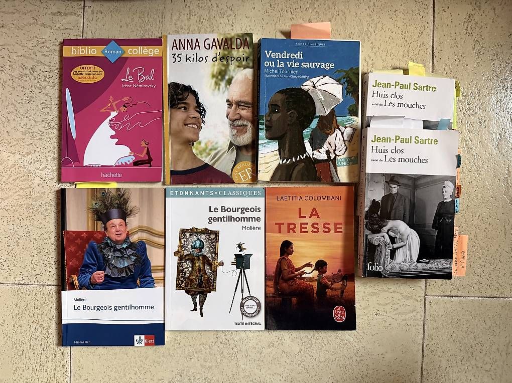 Libri: Französisch Bücher, pro Stück 7 CHF – Usato da Sarnen venduto da ale_7ph7