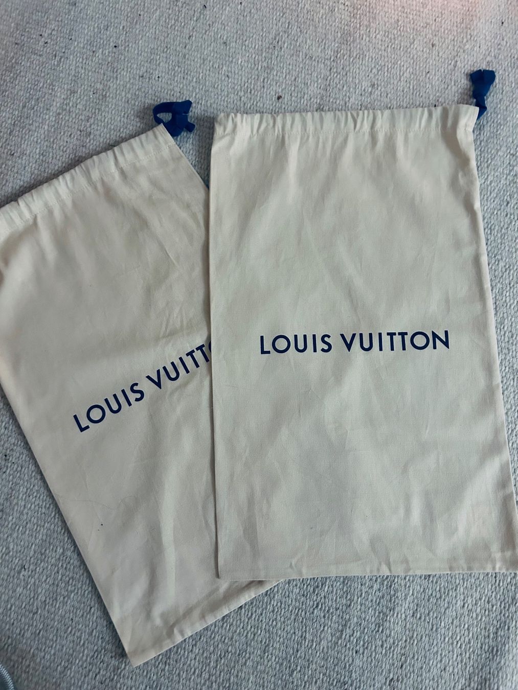 Louis Vuitton Taschen: Duster bags Louis Vuitton 2 bags – Neu (gemäss Beschreibung) aus Zürich von Ferienan 1