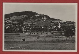 Alte Ansichtskarte Dielsdorf und Regensberg, Zürich