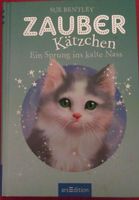 Kinderbuch " Zauber Kätzchen 2 " Ein Sprung ins kalte Nass