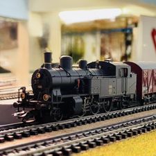 Profile image of Thibcott03