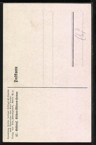 Cartoline postali: Ostfriesische Silber-Möven-Henne im H – Usato da Berlin venduto da bartko-reher 1