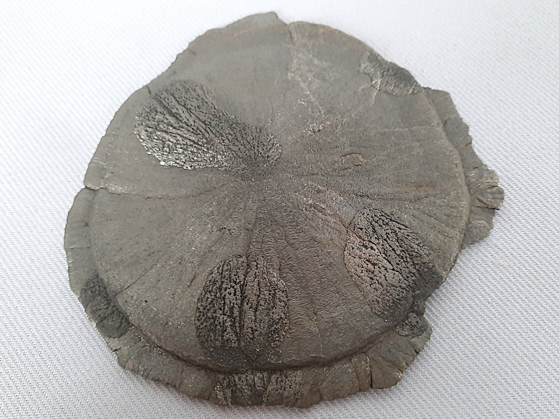 Mineralien & Heilsteine: Pyrit- Sonne – Gebraucht aus Beinwil am See von Restwert_Beinwil 3