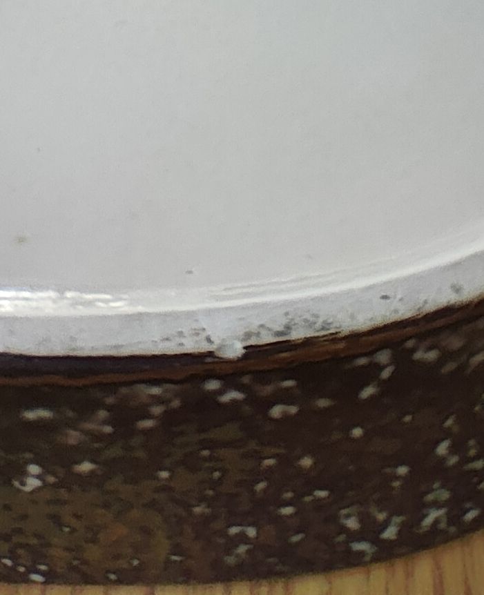Royal Copenhagen Ciotole: Schale Royal Copenhagen – Usato da Luzern venduto da alpler1 3