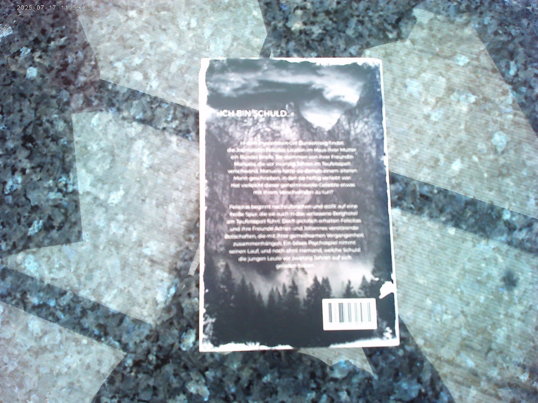 Libri: Dunkelsteig - Schuld von B.C. Schiller – Usato da reitnau venduto da Sib7 1