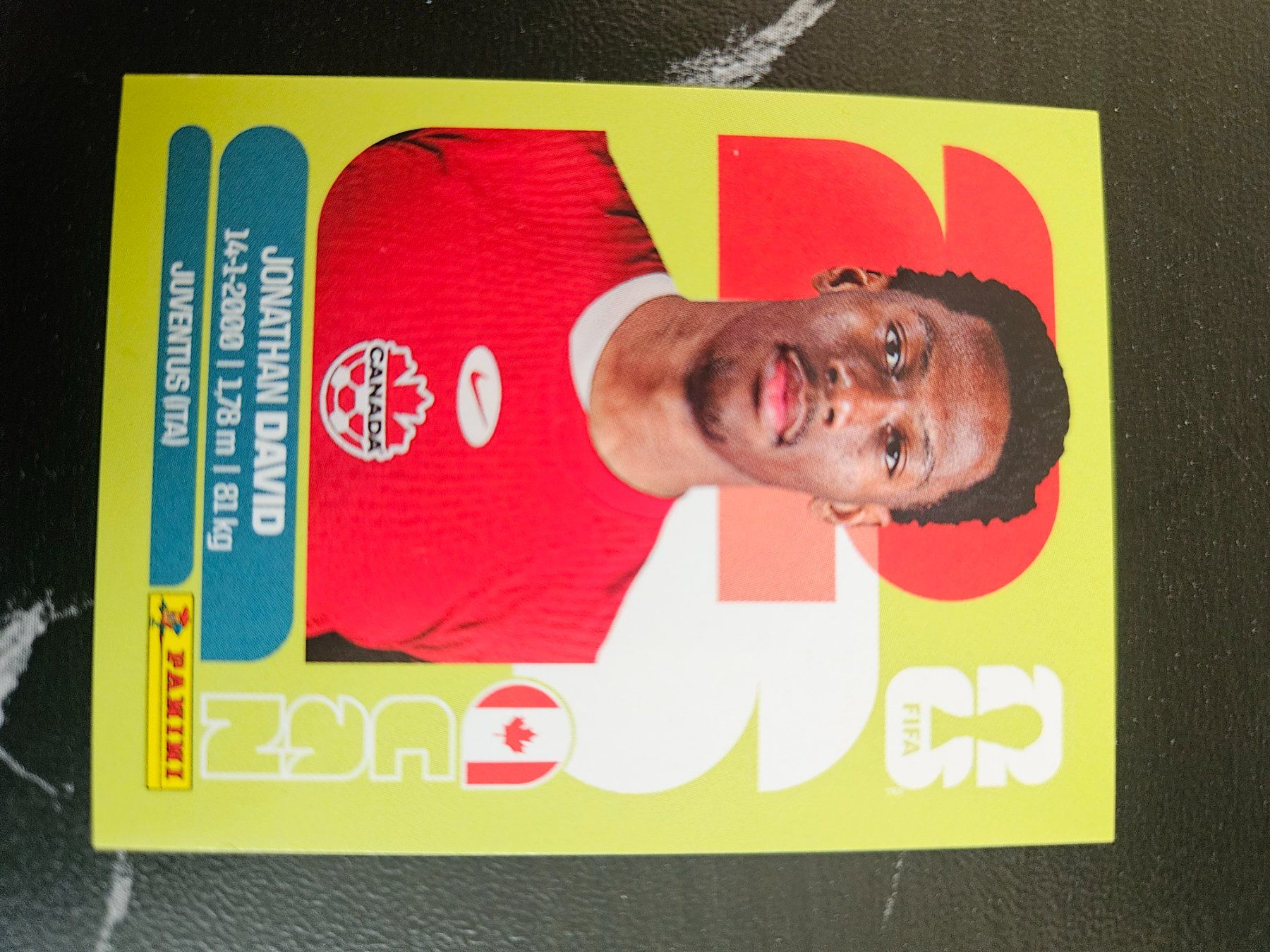 Panini Cartes à collectionner: CAN20 – D'occasion à Würenlingen par Dinli