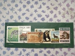 Superbe collection de timbres anciens du monde entier!