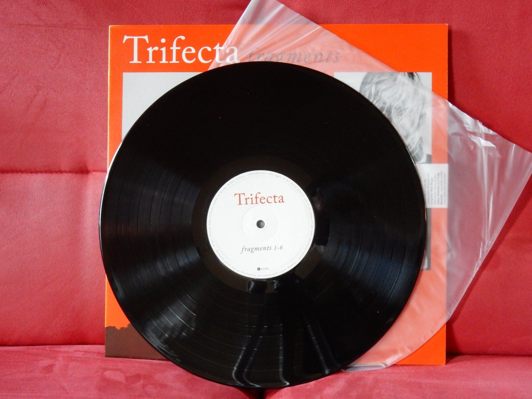 Dischi in vinile: Trifecta - Fragments – Usato da Flamatt venduto da Herzkarst 1