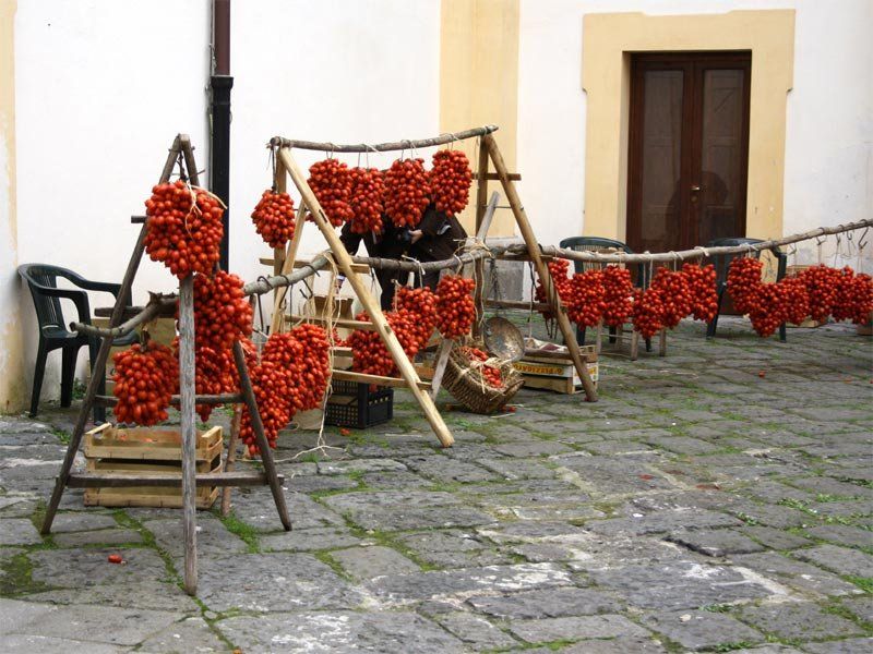 Piante & sementi: Tomate grappe d'hiver 25g – Nuovo (secondo la descrizione) da Bremblens venduto da FIBONACCI369 2