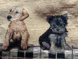Fourre décorative pour coussin - Qualité de "Schilliger"