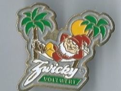 Placchette & Badge: Zwicky Vollwert PIN – Usato da Zürich venduto da t24_de