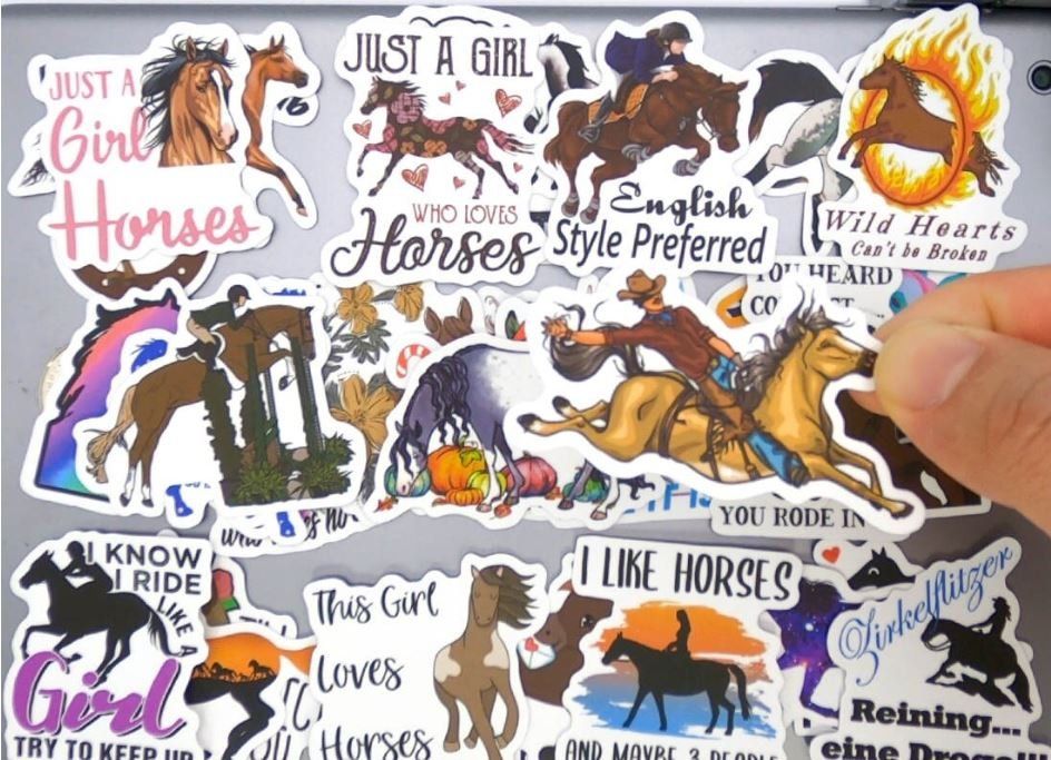50 tlg Stickerset Pferd Ross reiten Stall Cowboy Horse Fury (Neu und ...