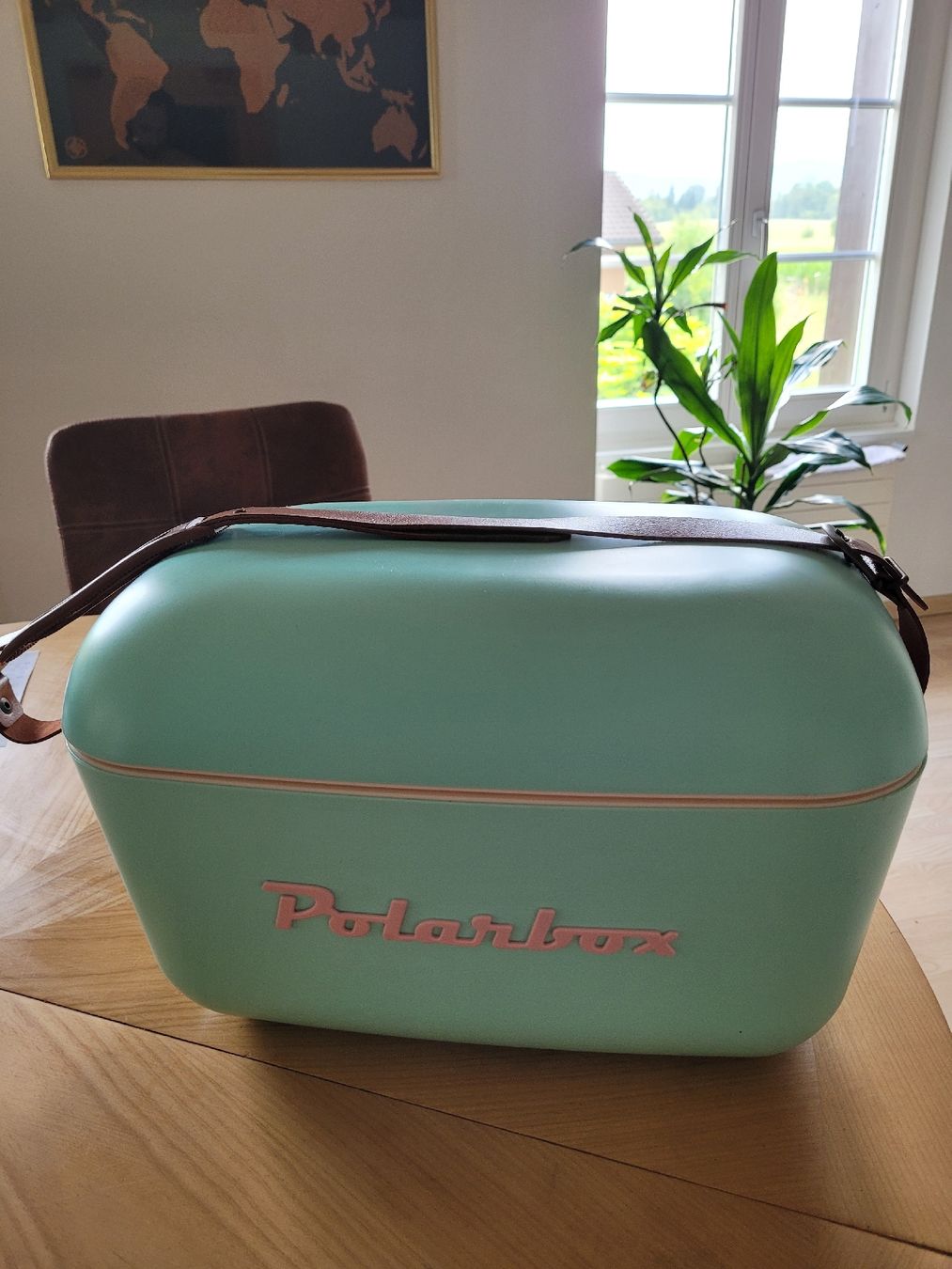 Réfrigérateurs et refroidissement: Polisur Kühlbox Retro 20l – D'occasion à Rüti ZH par Guapitos_on_Tour