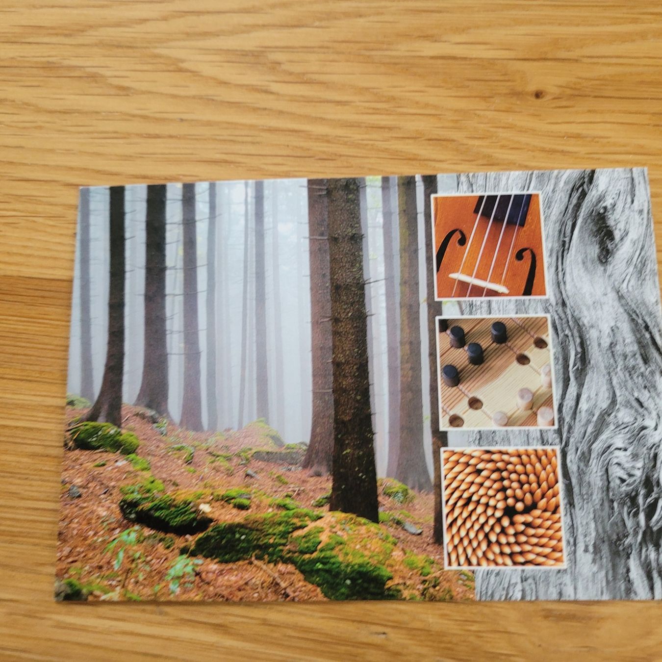 Cartoline postali: GS Karte Wald ZH 2004 – Usato da Biel/Bienne venduto da Destockweb 1