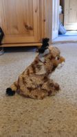 Plüschtier Luchs, naturnah, von Wild Republic, wie neu