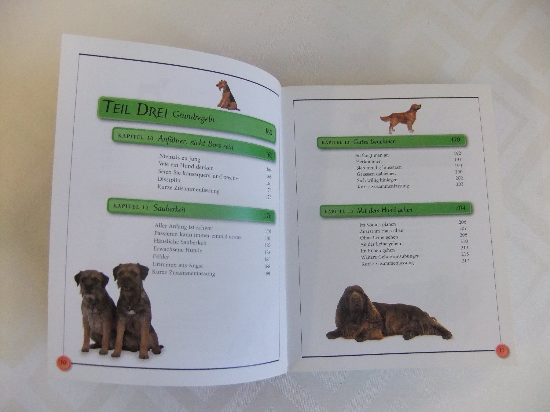 Bücher: Hunde Das Einsteiger-Handbuch KISS Serie – Gebraucht aus Hemishofen von Lany 4