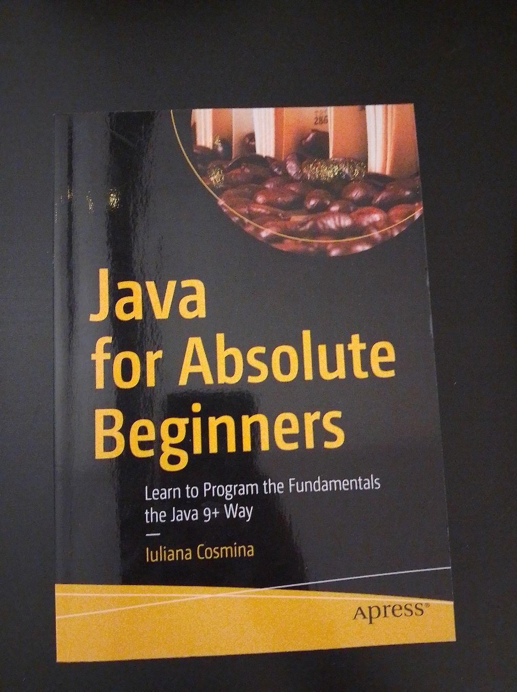 Livres: Java for absolute Beginners – Neuf (Voir description) à Aarau Rohr par Sa3445