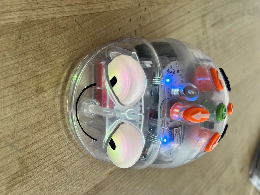 Blue Bot - Bodenroboter (Gebraucht) in Horgen für CHF 98 – mit ...