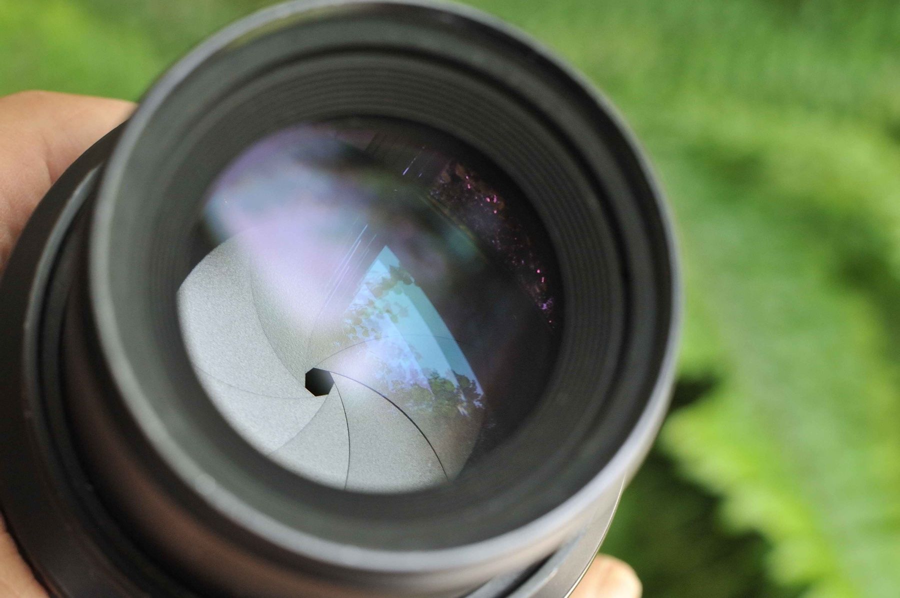 Nikkor Objektive: Nikon Micro-Nikkor 105mm f2.8 AF-D – Gebraucht aus Schwerzenbach von floridan 2