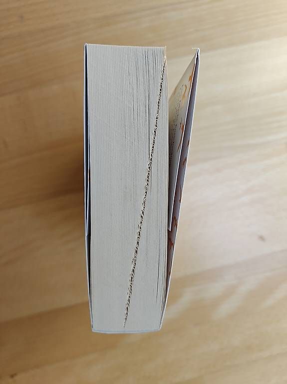 Libri: Buch " Die Farbe vom Glück" – Usato da Kloten venduto da chr_rmr 2