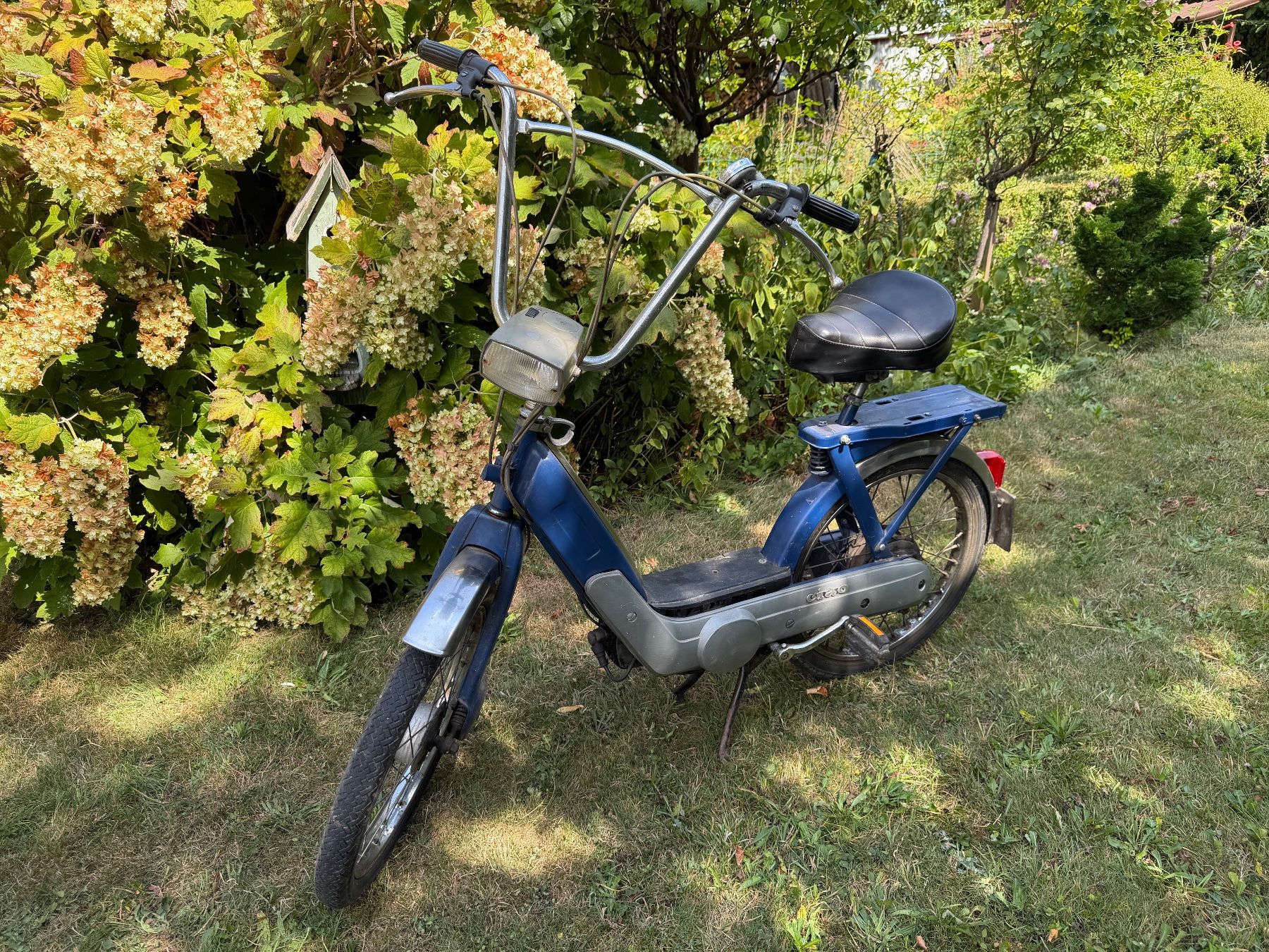 Piaggio Ciclomotori: Mofa Ciao – Usato da Goldach venduto da Flameflower 1