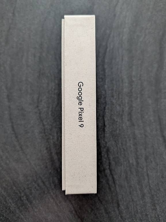 Portables: Google Pixel 9  – D'occasion à Hauptwil par she_ch7h 1